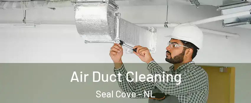  Air Duct Cleaning Seal Cove - NL