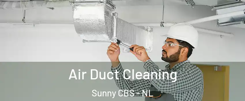  Air Duct Cleaning Sunny CBS - NL