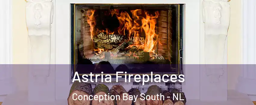  Astria Fireplaces Conception Bay South - NL