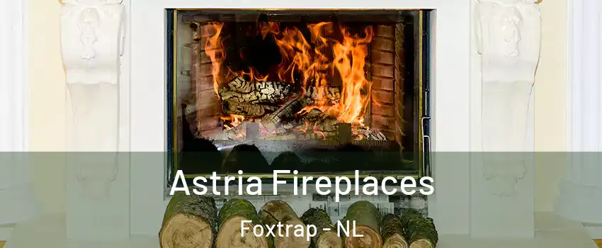  Astria Fireplaces Foxtrap - NL