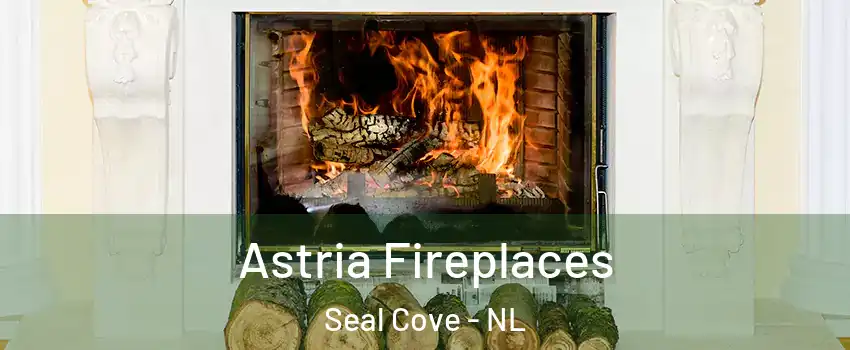  Astria Fireplaces Seal Cove - NL