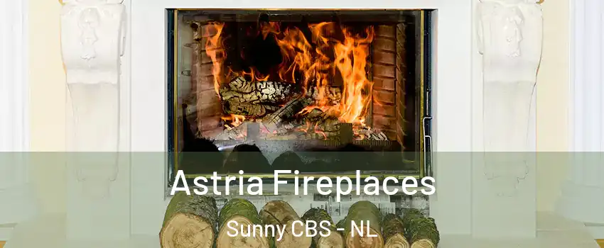  Astria Fireplaces Sunny CBS - NL