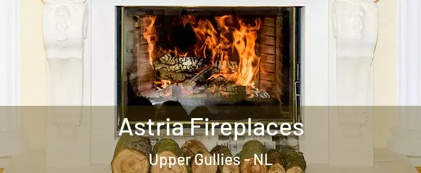  Astria Fireplaces Upper Gullies - NL
