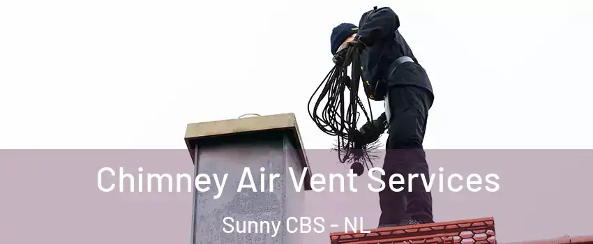  Chimney Air Vent Services Sunny CBS - NL