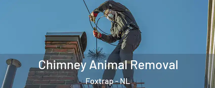 Chimney Animal Removal Foxtrap - NL