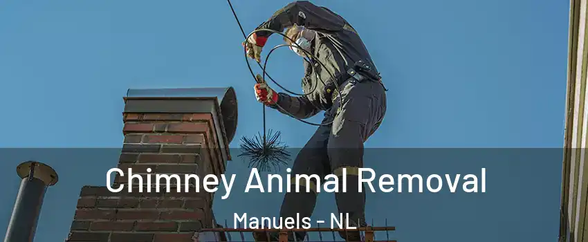 Chimney Animal Removal Manuels - NL