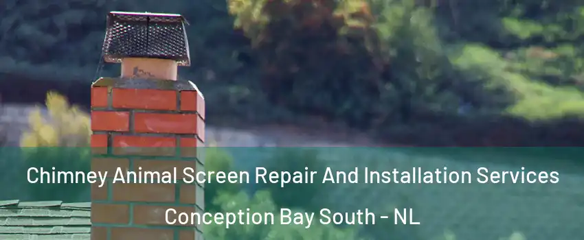  Chimney Animal Screen Repair And Installation Services Conception Bay South - NL