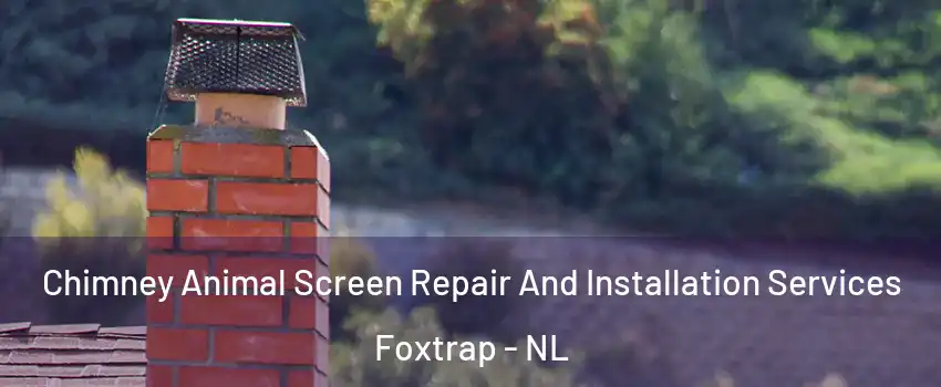  Chimney Animal Screen Repair And Installation Services Foxtrap - NL