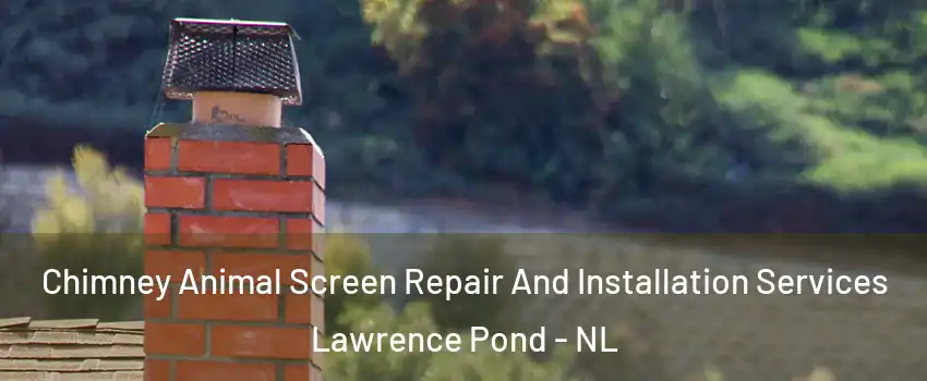  Chimney Animal Screen Repair And Installation Services Lawrence Pond - NL