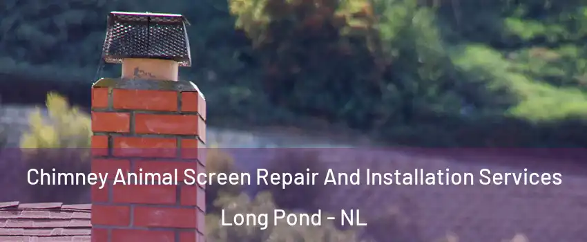  Chimney Animal Screen Repair And Installation Services Long Pond - NL