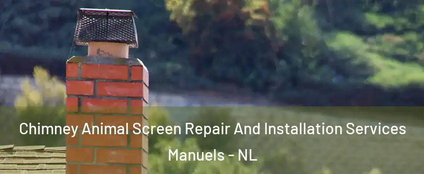  Chimney Animal Screen Repair And Installation Services Manuels - NL