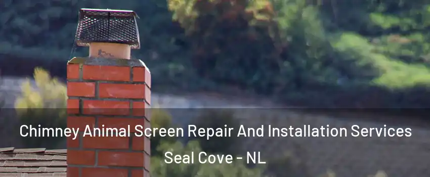  Chimney Animal Screen Repair And Installation Services Seal Cove - NL