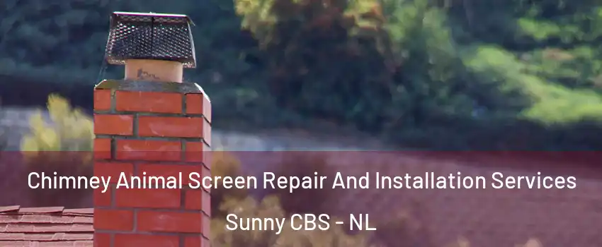  Chimney Animal Screen Repair And Installation Services Sunny CBS - NL