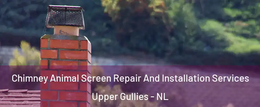  Chimney Animal Screen Repair And Installation Services Upper Gullies - NL