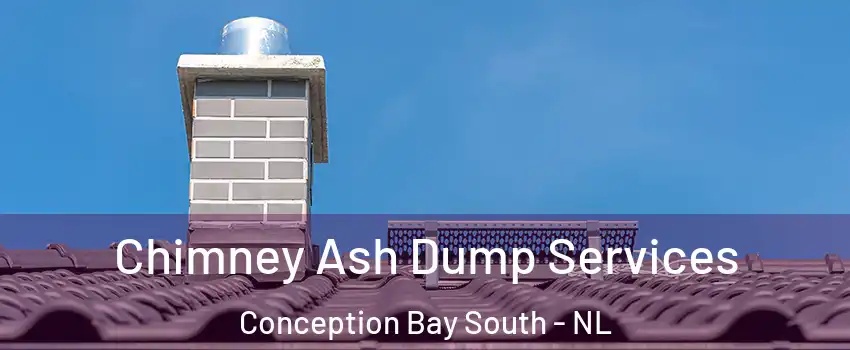  Chimney Ash Dump Services Conception Bay South - NL