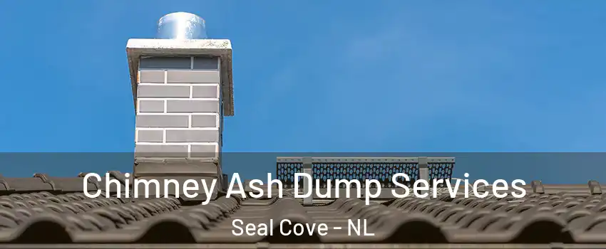  Chimney Ash Dump Services Seal Cove - NL