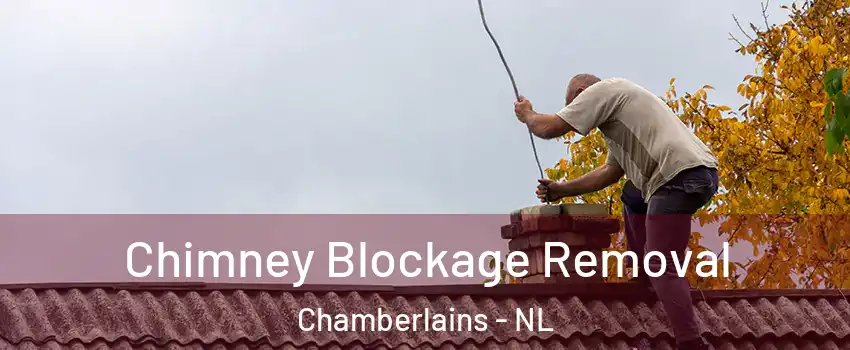  Chimney Blockage Removal Chamberlains - NL