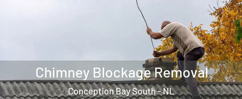  Chimney Blockage Removal Conception Bay South - NL