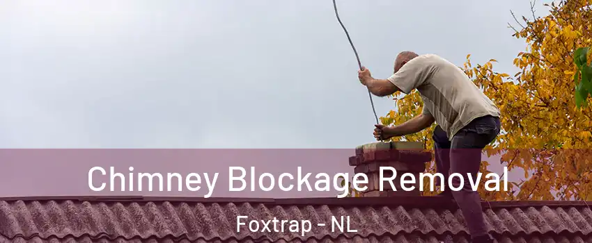  Chimney Blockage Removal Foxtrap - NL