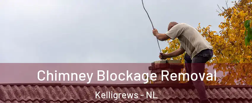  Chimney Blockage Removal Kelligrews - NL