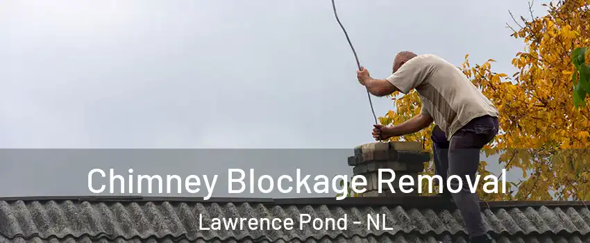  Chimney Blockage Removal Lawrence Pond - NL