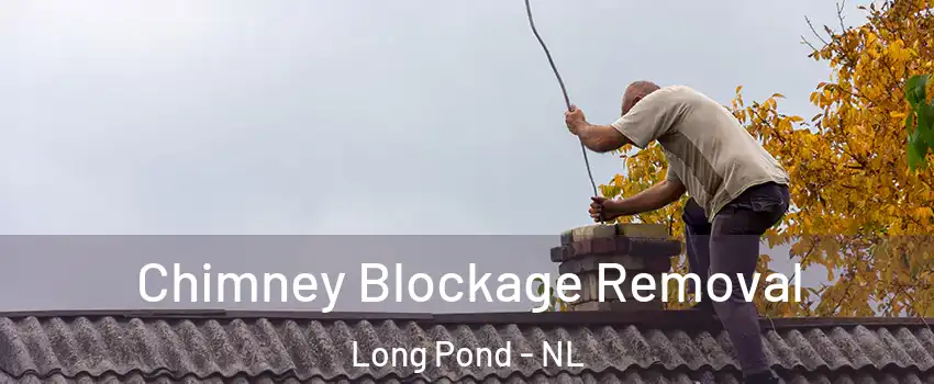  Chimney Blockage Removal Long Pond - NL