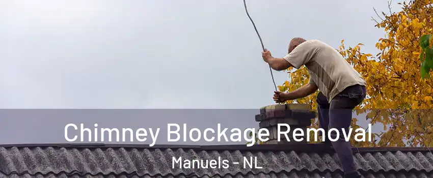  Chimney Blockage Removal Manuels - NL