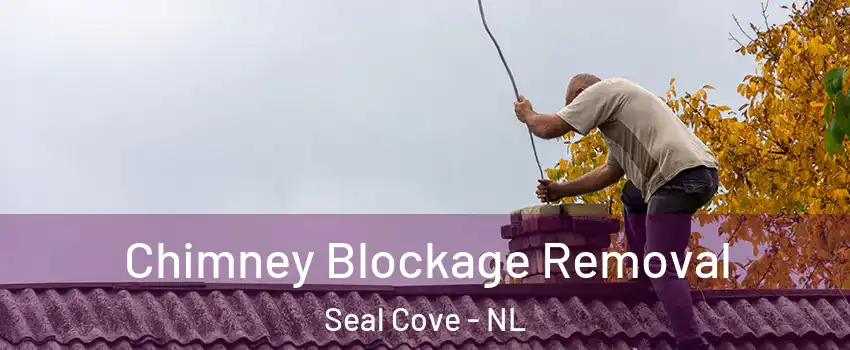  Chimney Blockage Removal Seal Cove - NL