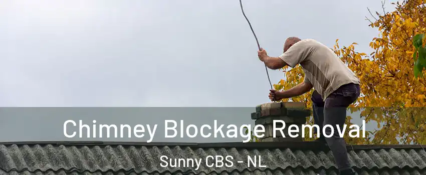  Chimney Blockage Removal Sunny CBS - NL