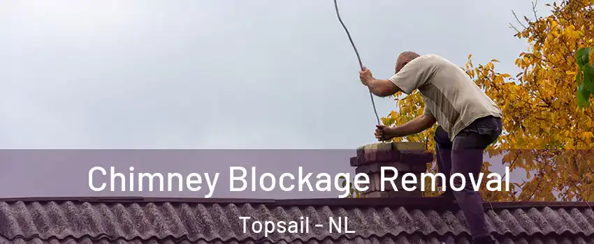  Chimney Blockage Removal Topsail - NL