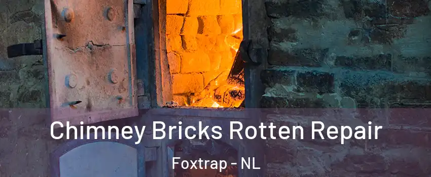  Chimney Bricks Rotten Repair Foxtrap - NL