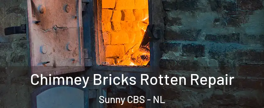  Chimney Bricks Rotten Repair Sunny CBS - NL