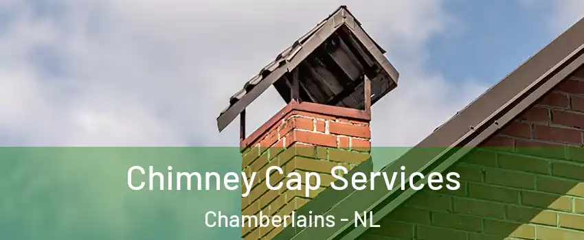  Chimney Cap Services Chamberlains - NL