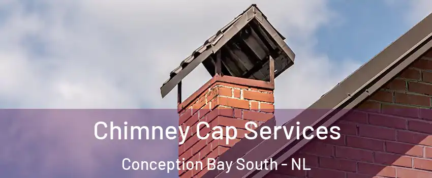  Chimney Cap Services Conception Bay South - NL