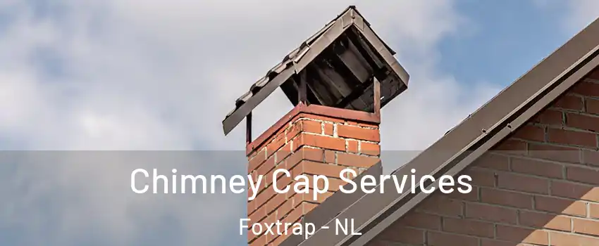  Chimney Cap Services Foxtrap - NL