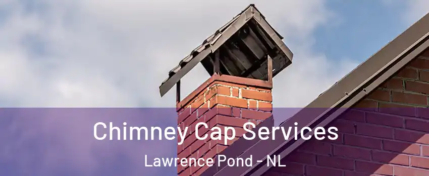  Chimney Cap Services Lawrence Pond - NL