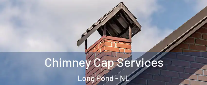  Chimney Cap Services Long Pond - NL