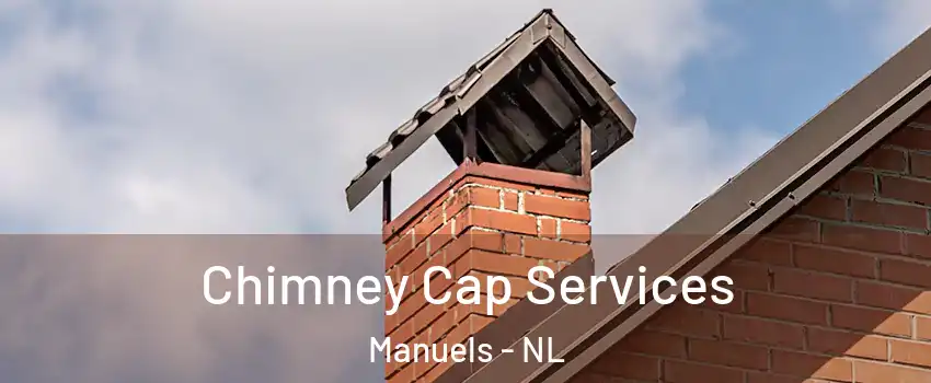  Chimney Cap Services Manuels - NL