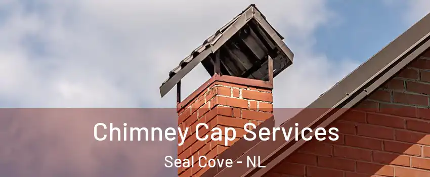  Chimney Cap Services Seal Cove - NL