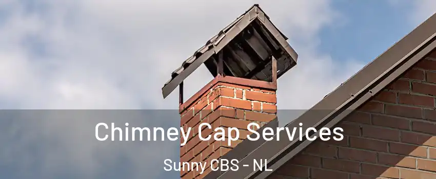  Chimney Cap Services Sunny CBS - NL