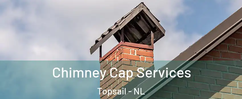  Chimney Cap Services Topsail - NL