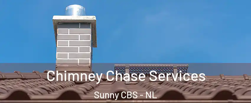  Chimney Chase Services Sunny CBS - NL
