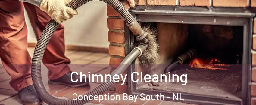  Chimney Cleaning Conception Bay South - NL