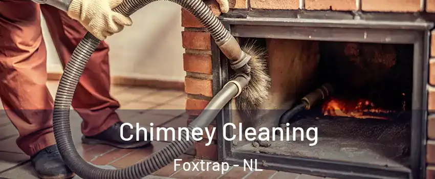  Chimney Cleaning Foxtrap - NL