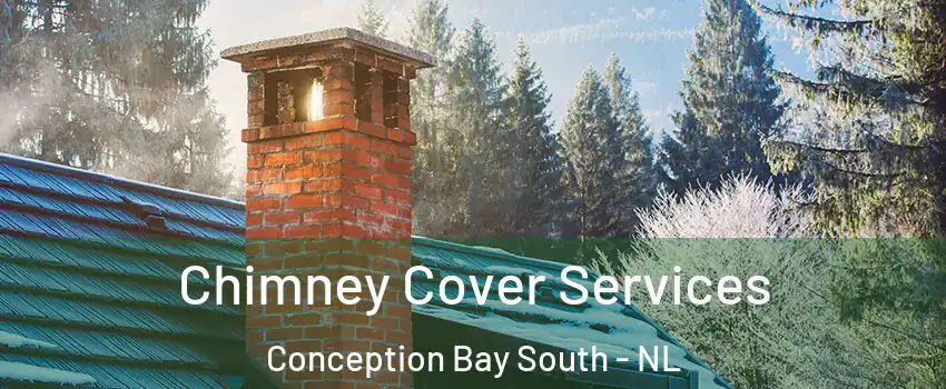  Chimney Cover Services Conception Bay South - NL
