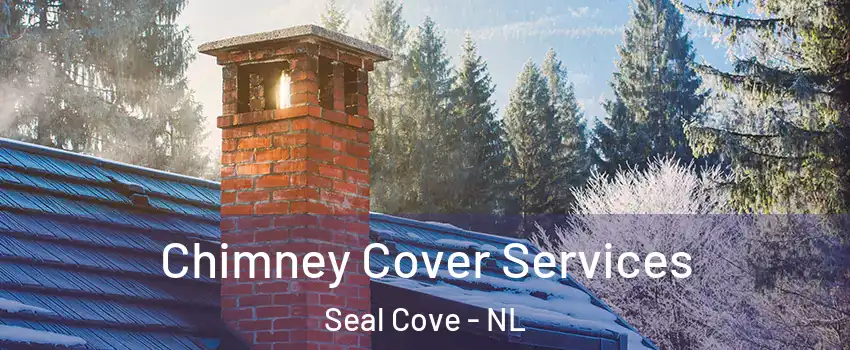  Chimney Cover Services Seal Cove - NL