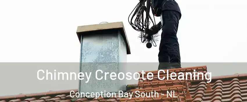  Chimney Creosote Cleaning Conception Bay South - NL