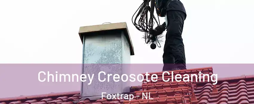  Chimney Creosote Cleaning Foxtrap - NL