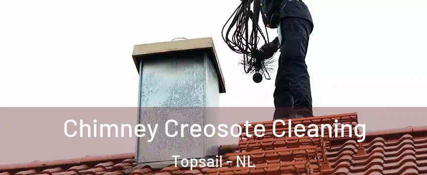  Chimney Creosote Cleaning Topsail - NL