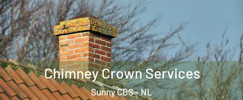  Chimney Crown Services Sunny CBS - NL
